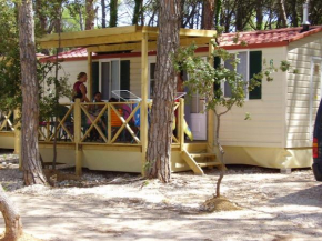 Mobile Homes Camping Biograd